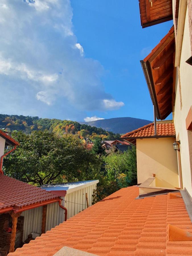 Apartament La Casa In Curte Comuna Daire Codlea Dış mekan fotoğraf