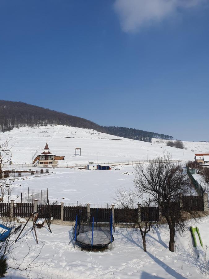 Apartament La Casa In Curte Comuna Daire Codlea Dış mekan fotoğraf